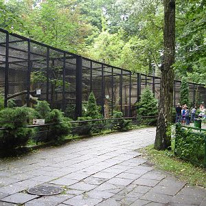 North China leopards cages