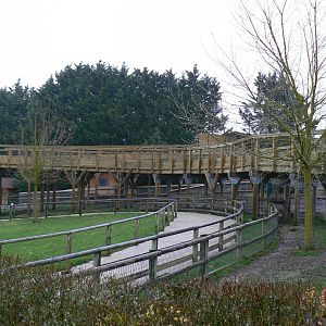 Future boardwalk to go to the Chinese mountains area (opening in April 2011