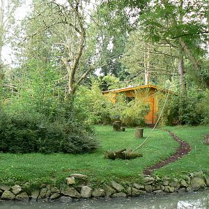 Ring-tailed lemurs and black and white ruffed lemurs island