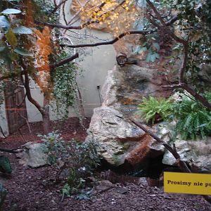 African birds aviary