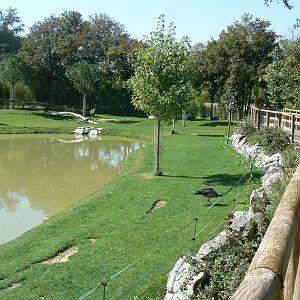 South american pampa exhibit - general views