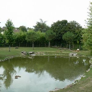 South american pampa exhibit - general views