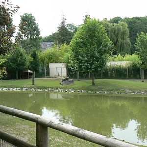 South american pampa exhibit - general views