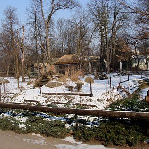 Zoo Wrocław 23.02.2011