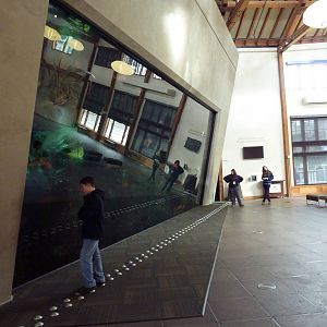 Window On Washington Waters - 120,000 Gallon Tank