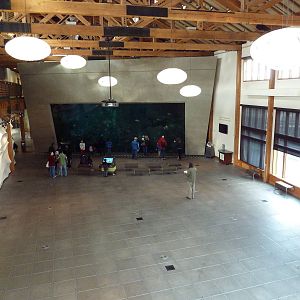 Window On Washington Waters - 120,000 Gallon Tank