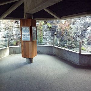 Shore Birds Exhibit (3 Species)
