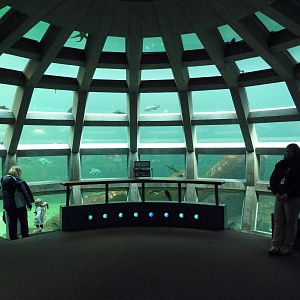 Underwater Dome