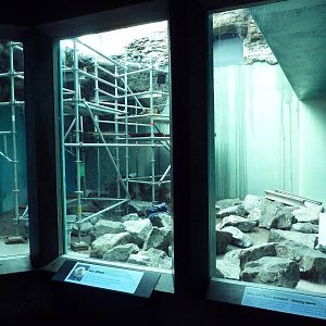 Sea Otter Exhibit (Under Renovation)
