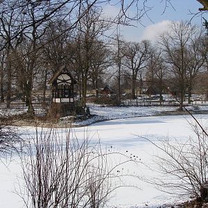 Zoo Wrocław 23.02.2011