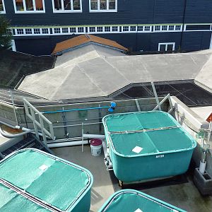 Off-Exhibit Area (Bird Aviaries)
