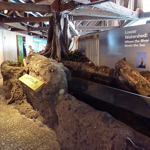 Sound To Mountains Exhibit