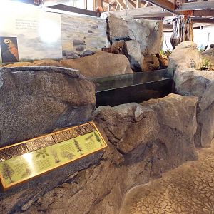 Sound To Mountains Exhibit