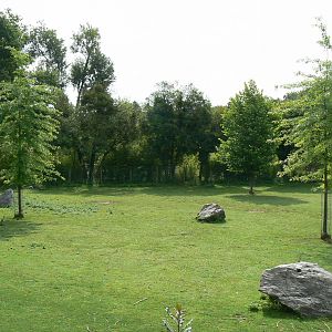 Somali wild asses enclosure