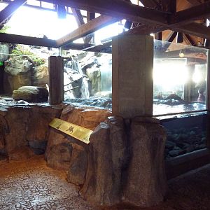 River Otter Exhibit