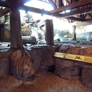 River Otter Exhibit