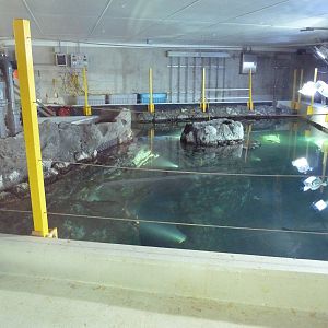 Window On Washington Waters - Overhead Photo