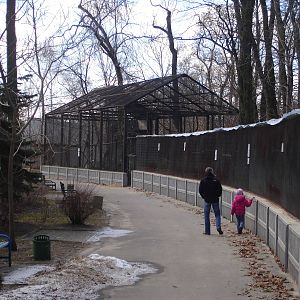Phasianidae cages and Griffon vultures aviary.