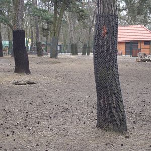 Persian fallow deers and Red Deer exhibit