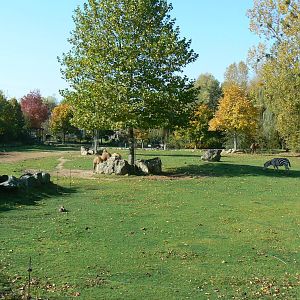 Dromedaries and watusis enclosure