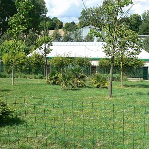 Okapis exhibit - second enclosure (the smallest) with the okapis house behi