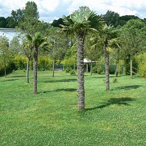 Okapis exhibit - first enclosure