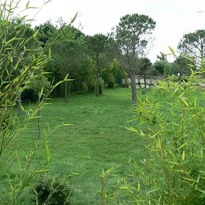 Okapis exhibit - first enclosure