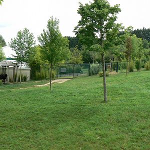 Okapis exhibit - Third enclosure