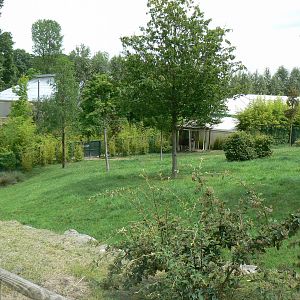 Okapis exhibit - Third enclosure