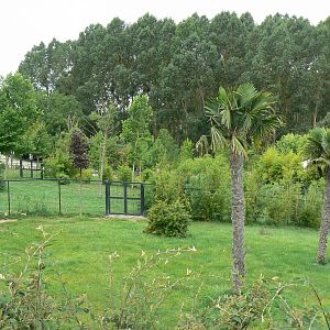 Okapis exhibit - View across the three enclosures