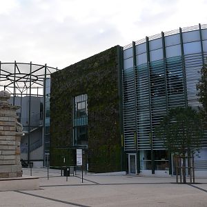 Amazonian House - Entrance