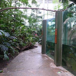 Amazonian House - Path