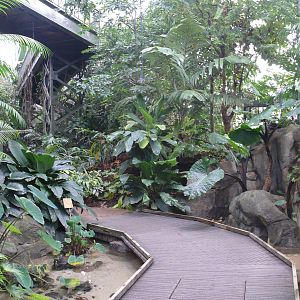 Amazonian House - Path