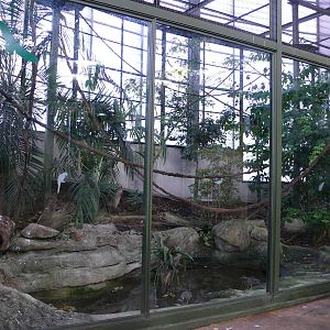 Amazonian House - Birds, primates and agutis exhibit