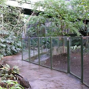 Amazonian House - Path and Giant anteaters exhibit