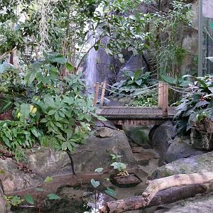 Amazonian House - Waterfall and path