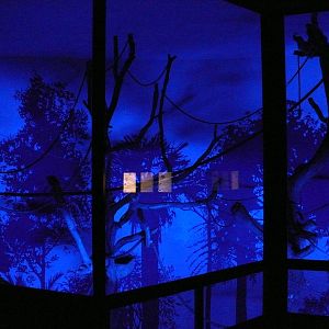 Amazonian House - Nocturnal exhibit