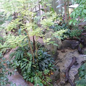 Amazonian House - General view from the bridge