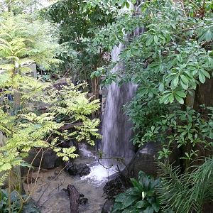 Amazonian House - General view from the bridge