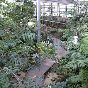 Amazonian House - General view from the bridge