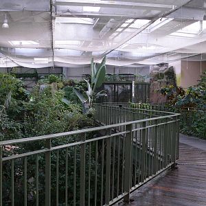 Amazonian House - Bridge