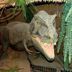 Tyrannosaurus