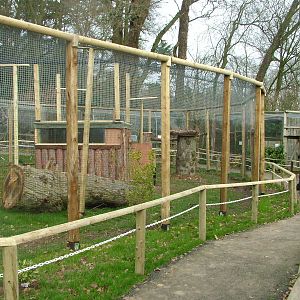 New Secretary Bird Aviary at Cotswold Falconry 05/03/11
