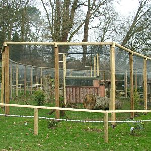New Secretary Bird Aviary at Cotswold Falconry 05/03/11