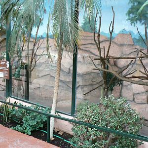 Australian greenhouse -  general views