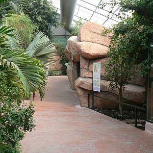 Australian greenhouse -  general views