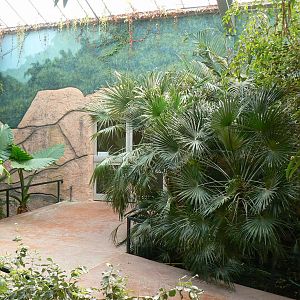 Australian greenhouse -  general views