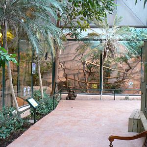 Australian greenhouse -  general views