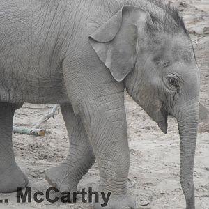 Jamilah taken on 6th March 2011