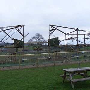 Coati enclosure at Noah's Ark Zoo Farm, 5 March 2011